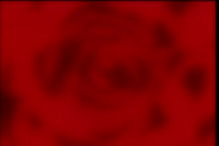 [Tsukyio Editing Resources] Hellsing (Episode 9) Raw Clips (210) (tsukyio.com).mp4